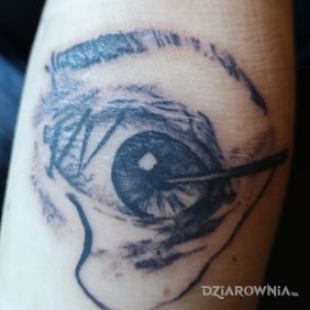 Tatuaż zrobiony na Warszawskich targach motocyklowych