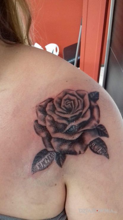 Tatuaż róża z datami - kwiaty