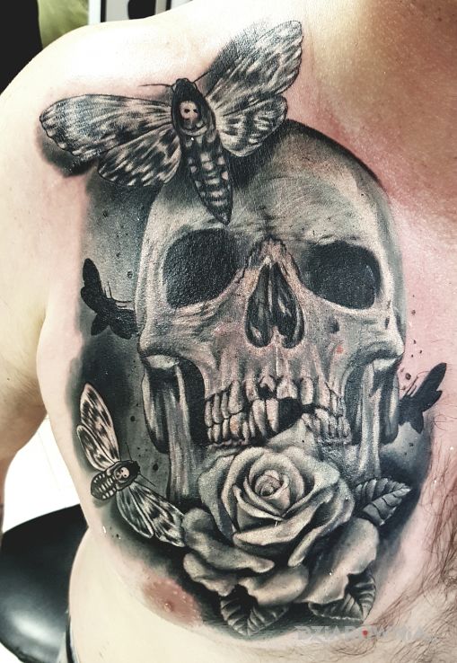 Tatuaż czaszunia - czaszki