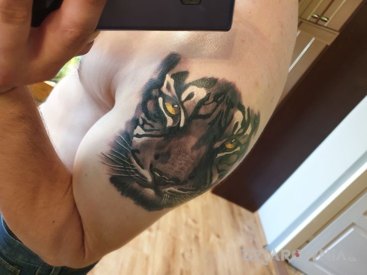 Tatuaż kocur tattoo  macie moze pomysl co dalej - zwierzęta