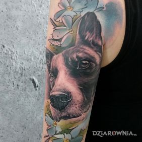 Piesek i Bartosz Tatuażu