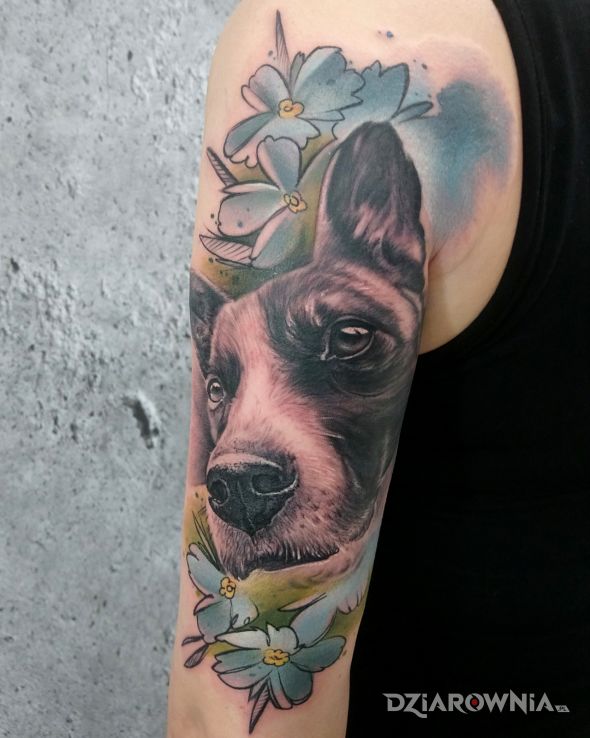 Tatuaż piesek i bartosz tatuażu - kolorowe