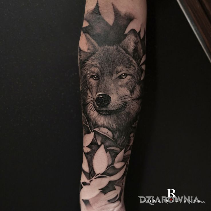 Tatuaż wilk - rękawy