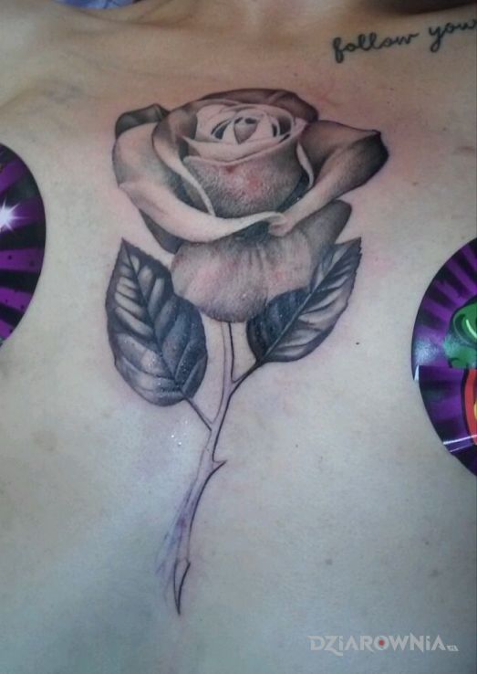 Tatuaż rose - kwiaty