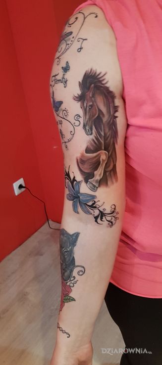 Tatuaż przecudny konik - zwierzęta