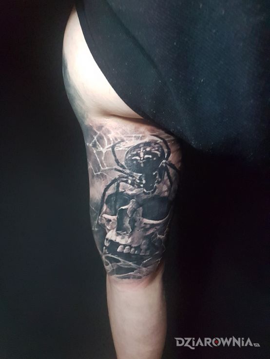 Tatuaż skull  spider - zwierzęta