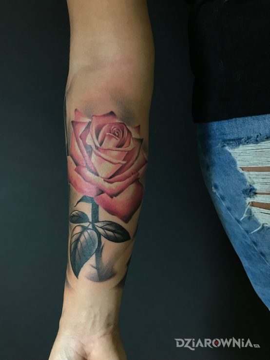 Tatuaż róża - kolorowe