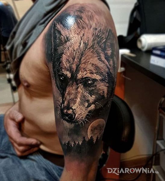 Tatuaż wilk - zwierzęta
