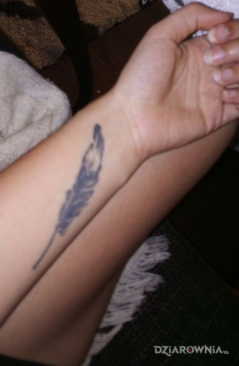 Tatuaż piórko - pozostałe