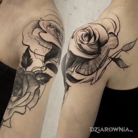 Rose tattoo