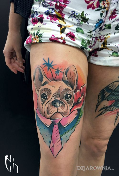 Tatuaż pieseł ważniak - pozostałe