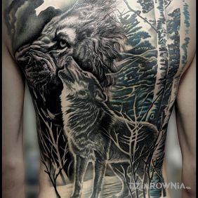 Mrok i siła zwierząt