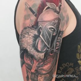 Gladiator Ciąg dalszy