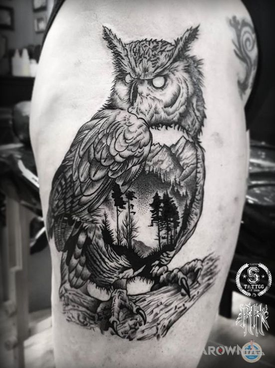 Tatuaż sowa - dotwork