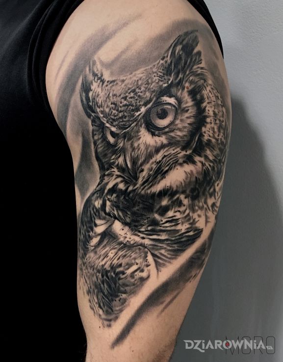 Tatuaż sowa - zwierzęta