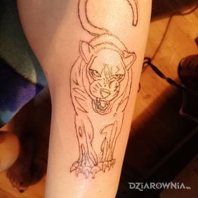 Pierwszy samodzielnie wykonany(UCZĘ SIĘ DOPIERO) jeszcze tylko wypelnienie